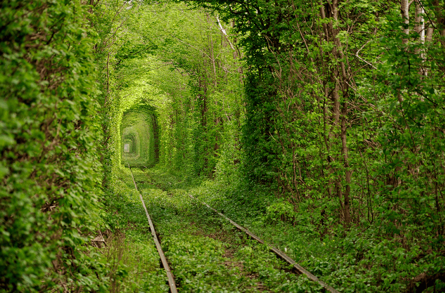 tunnel of love