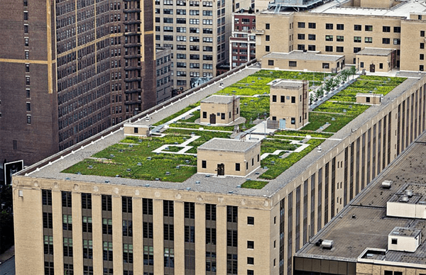 New York Secret Rooftop World