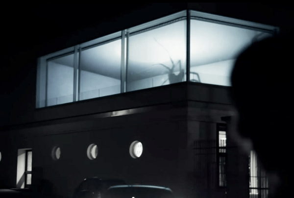 spider projection