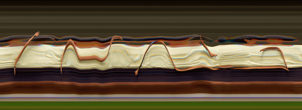 slit camera translates motion into bands of color