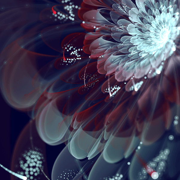 信じられないほど美しい フラクタルアートな花 Fractal Flowers Style4 Design