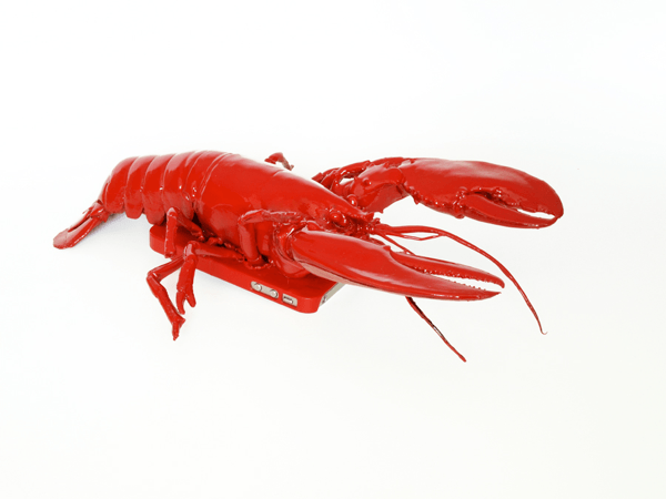 Lobster Mobile Telephone Case