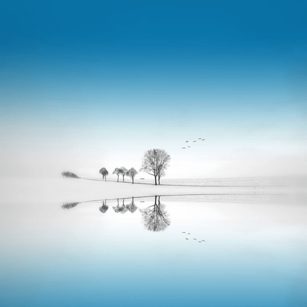 Outstanding Examples of Landscape Photography