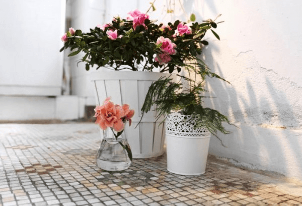 Floral Arrangments
