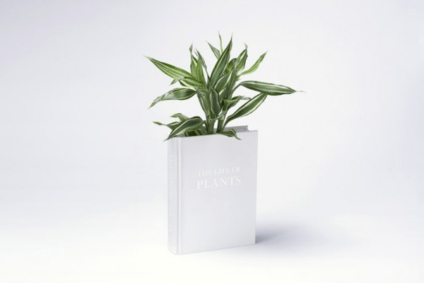 Book Vase