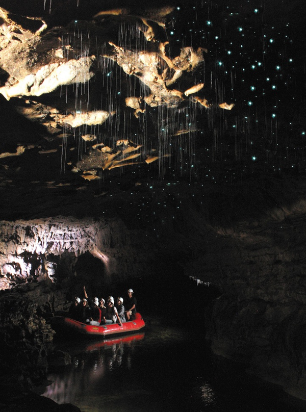 Glowworm Caves 