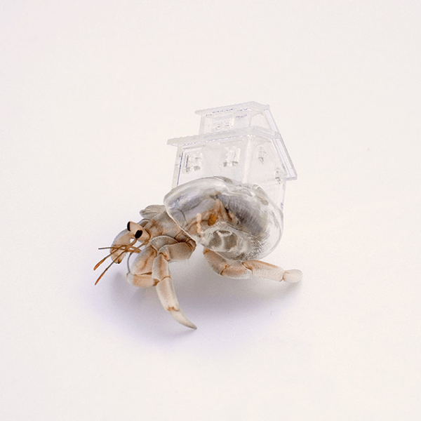 3D Printed Hermit Crab Shell
