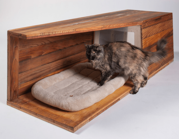 Cat Shelters