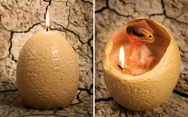 Dinosaur Egg Candle Hatches