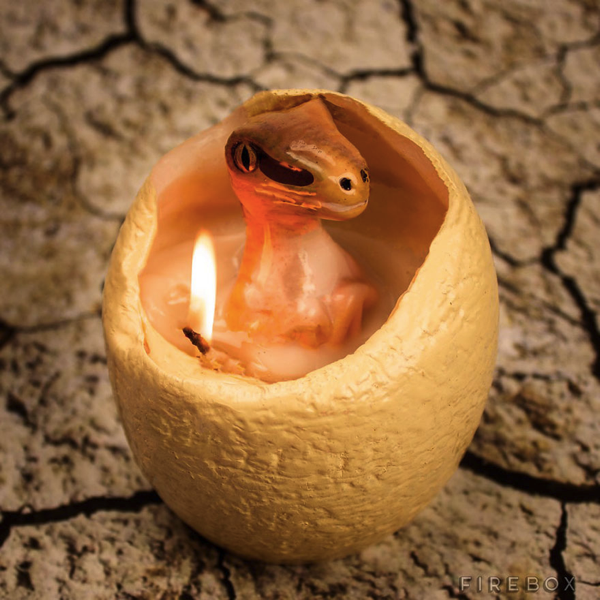 Dinosaur Egg Candle Hatches