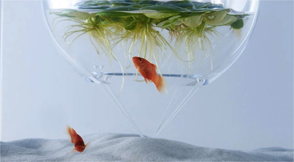 Upside-Down Fish Tank