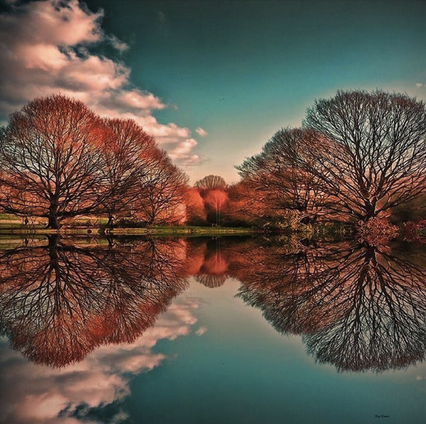 Perfect Reflections