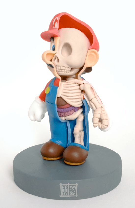 Mario Anatomy