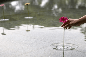 波紋に癒される。水面に咲かせるステキな発想の花瓶 - Floating Vase RIPPLE
